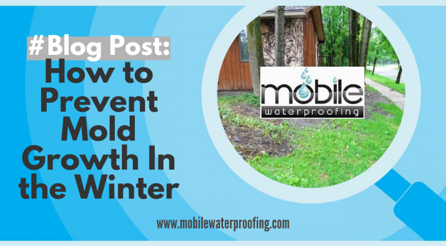 How to Prevent Mold Growth In the Winter